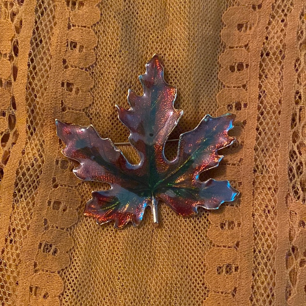 Leaf Pin 🍁 Green/Orange